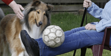 Bildschirmfoto 2026-09-22 um 14